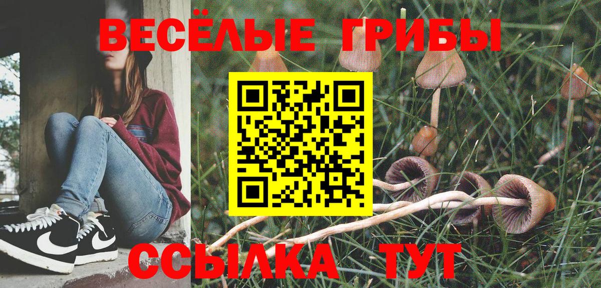 Псилоцибиновые грибы мицелий Заинск