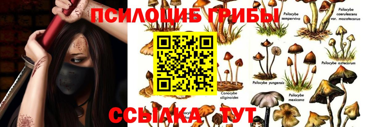 Псилоцибиновые грибы мухоморы  Вход с VPN  Заинск 
